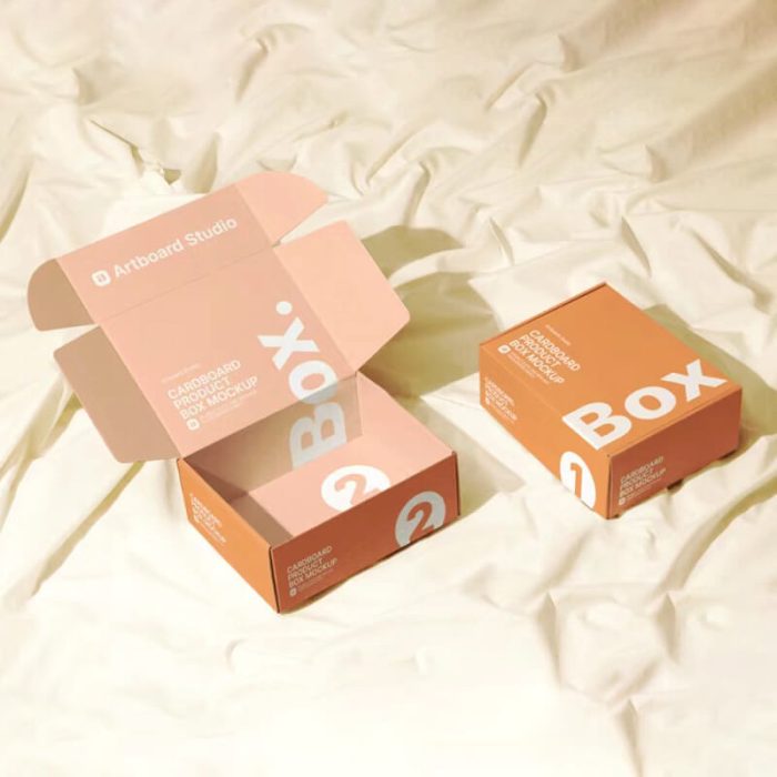 Costume Cardboard Box - Image 12