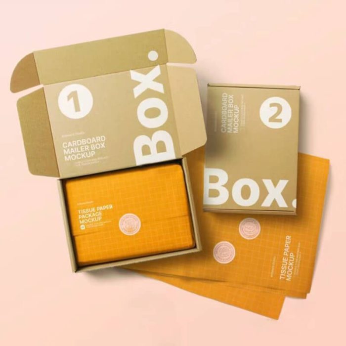 Costume Cardboard Box - Image 17