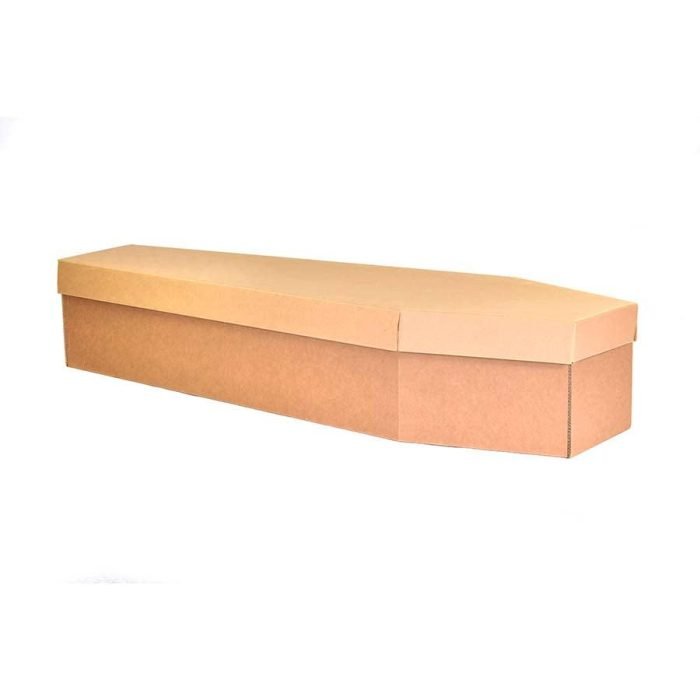Cardboard Box Coffin - Image 3