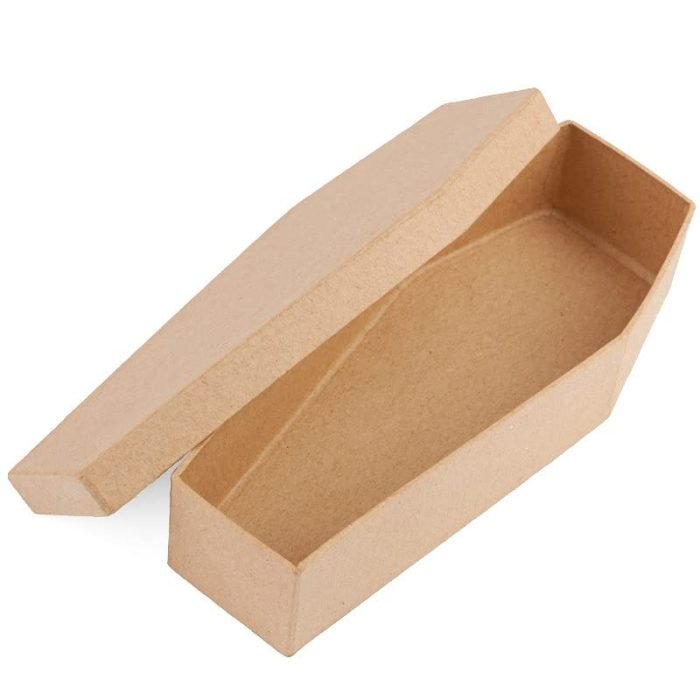 Cardboard Box Coffin