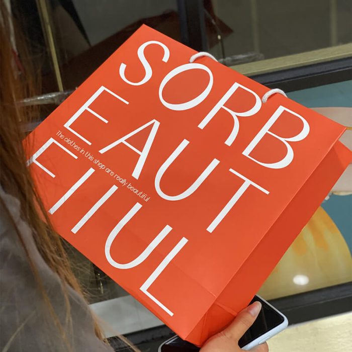 Paper Shopping Bags with Logo - Image 2