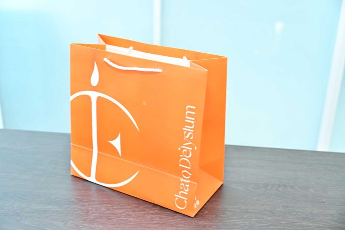 Shopping Paper Bags with Logo - Image 5