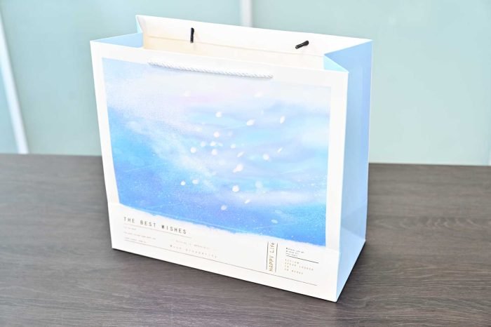 Shopping Paper Bags with Logo - Image 4